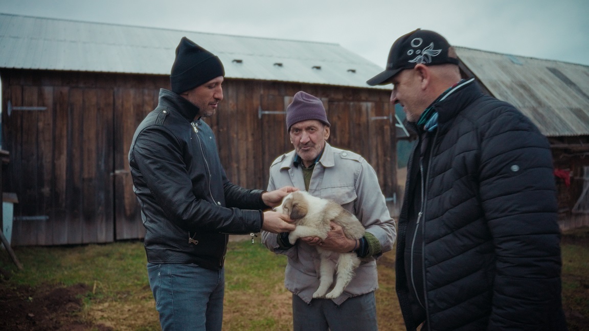 Proiectul a fost inițiat de Ștefan Mandachi și a schimbat complet viața animalelor dintr-o comunitate rurală. foto: Facebook