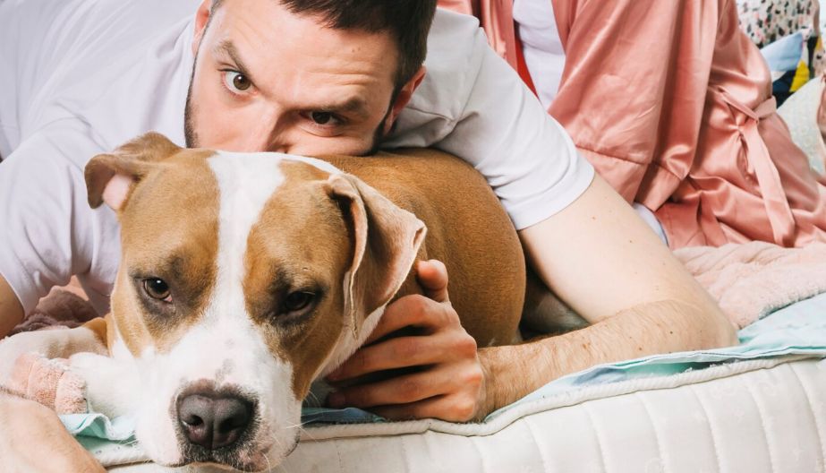 5 indicii că animalul tău de companie nu apreciază îmbrățișările