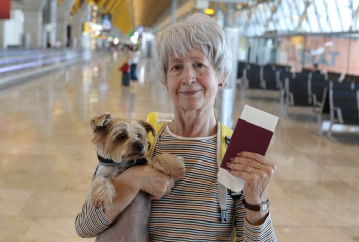 Noi reguli pentru proprietarii de animale de companie! Cum vor putea călători cu câinii, pisicile și dihorii