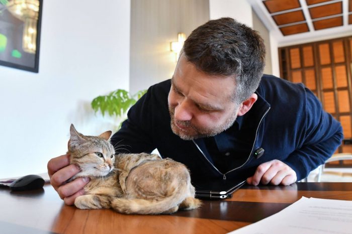 Cathy, noua colegă de la Primăria Capitalei. Povestea pisicii adoptate de Ciprian Ciucu