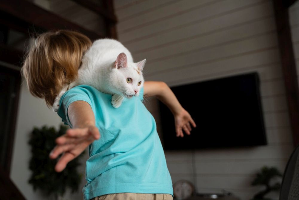 Misterele felinelor: ce ascund gesturile aparent bizare ale pisicilor