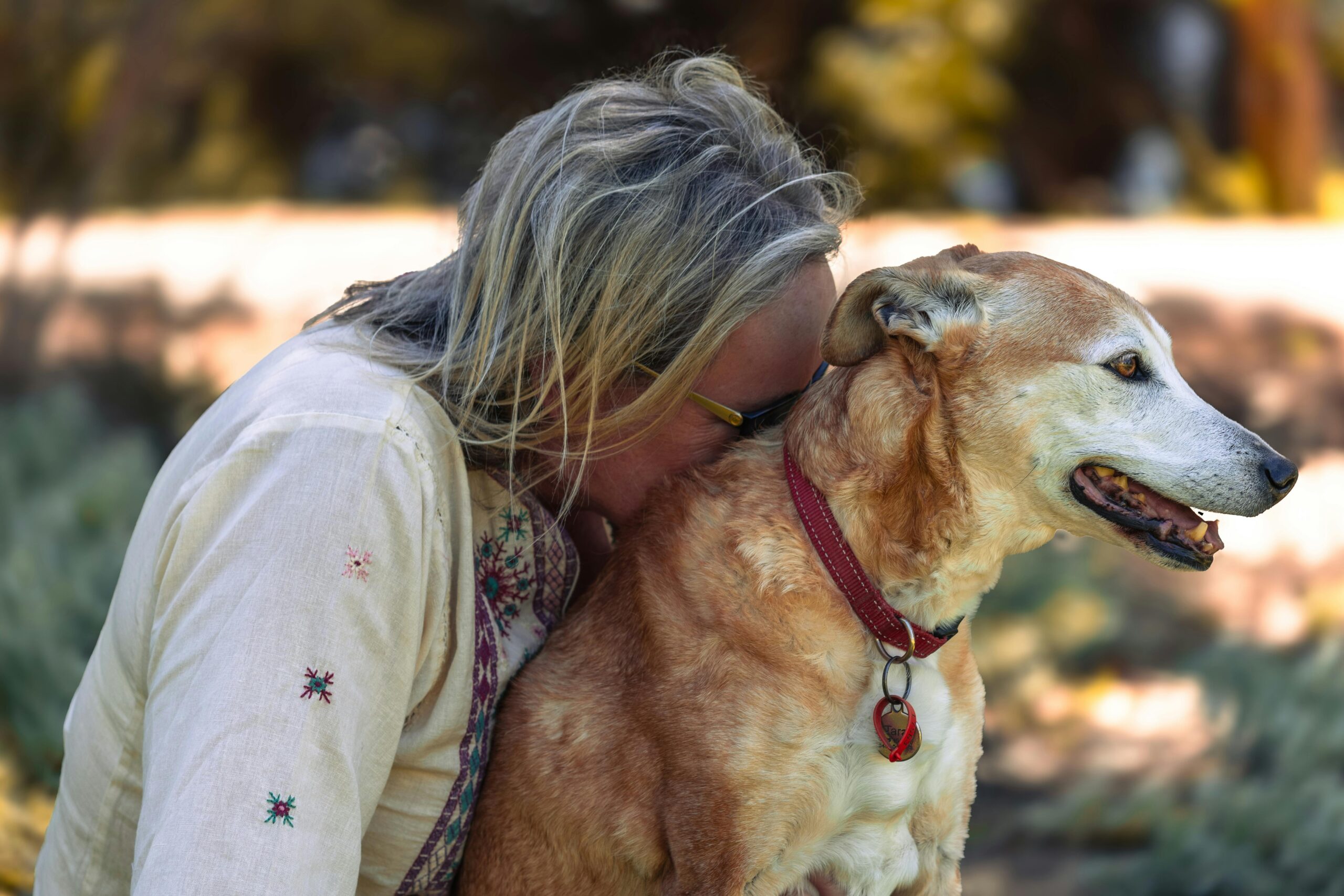 Anumite comportamente umane îi pot stresa, confuza sau chiar speria. foto: pexels.com