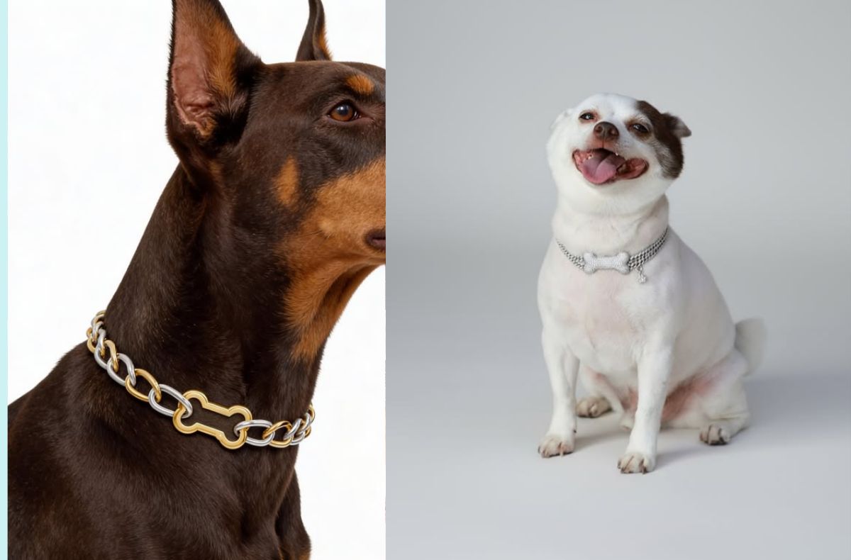 Diamante pentru câini: noul trend de lux care transformă zgărzile în bijuterii de sute de mii de dolari
