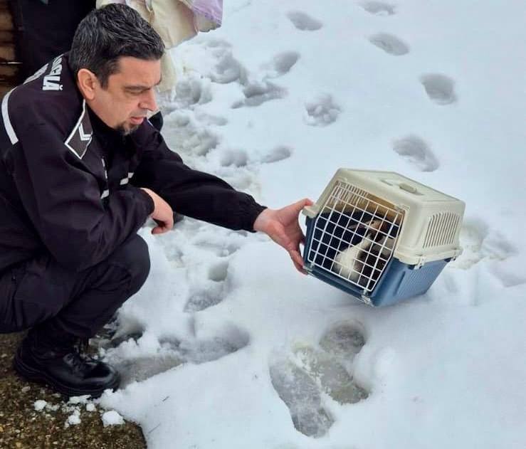 Pasărea a fost găsită de Ștefan, polițist local în cadrul Serviciului Poliția Animalelor. foto: Facebook