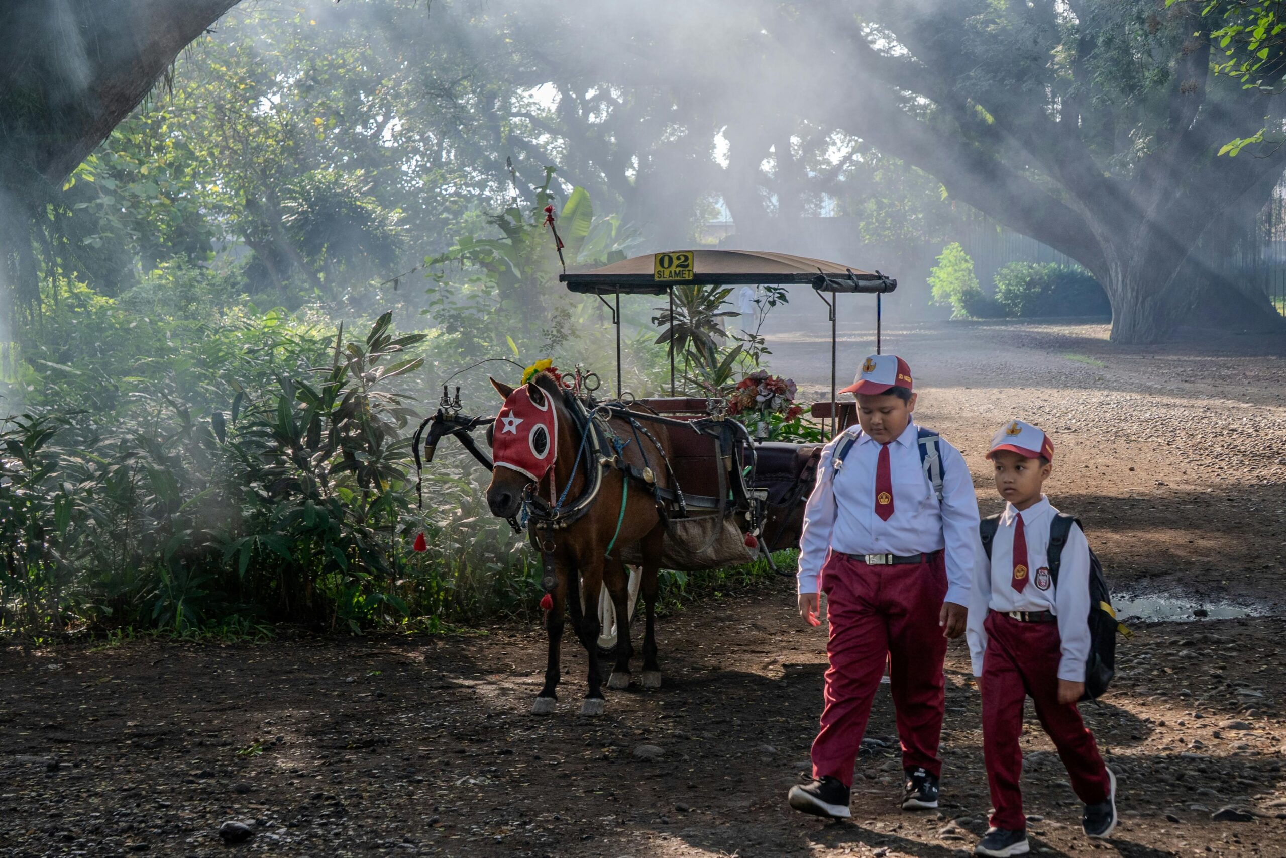 Cum treci pe lângă cai, dacă te plimbi? foto: pexels.com