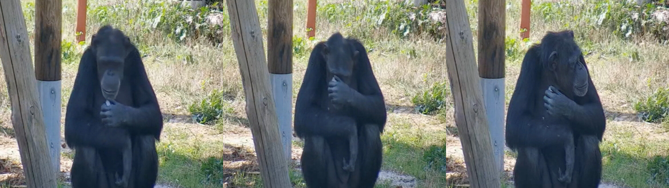 Cercetătorii din Spania au analizat ce caracteristici ale cristalelor ar fi putut să îi fascineze pe primii hominizi. foto: Frontiers in Psychology