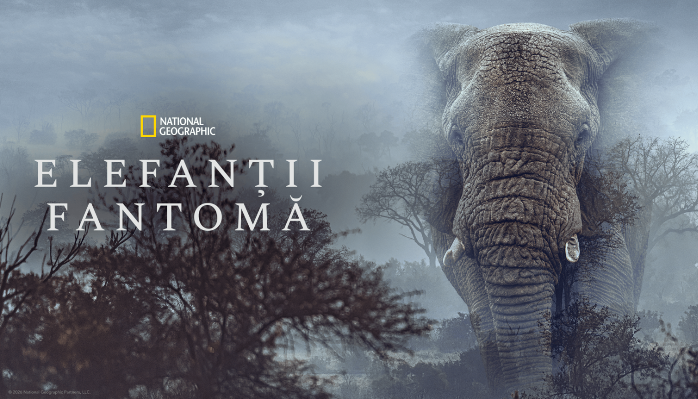 Documentarul „Elefanții fantomă” de la National Geographic: căutarea unor elefanți misterioși care ar putea să nu existe