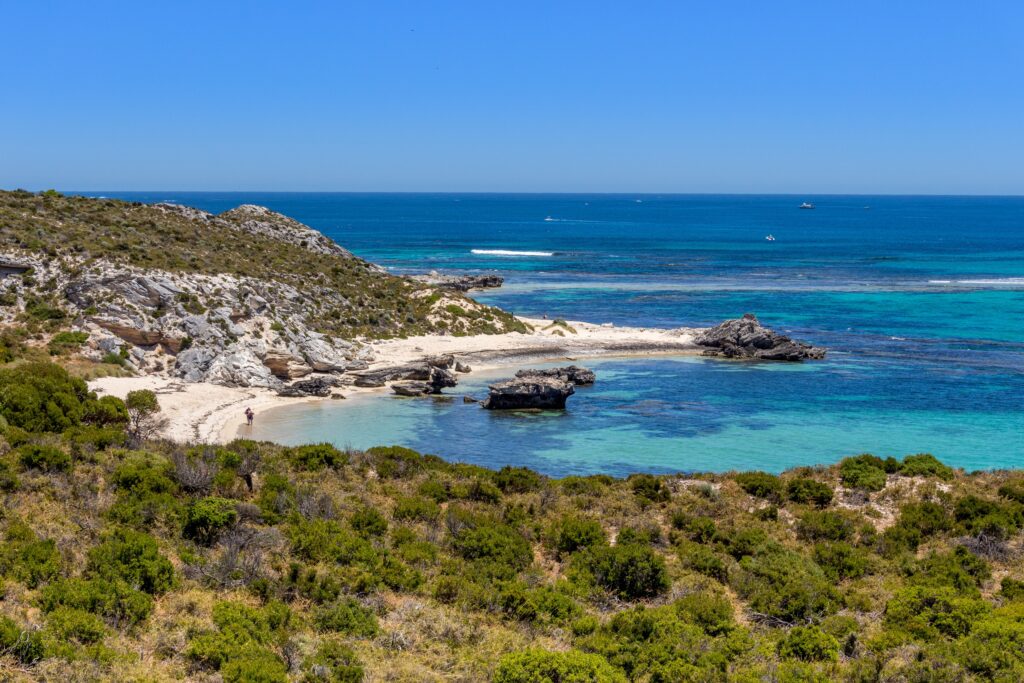 Insula Rottnest (Wadjemup), paradisul turistic vizitat pentru quokka. Ce istorie magnifică ascunde