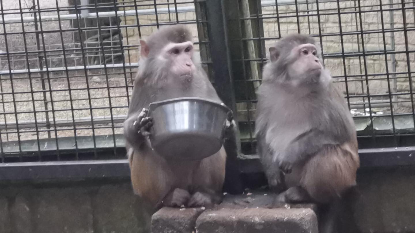 O grădină zoologică apărută în Harry Potter se închide definitiv. foto: Facebook