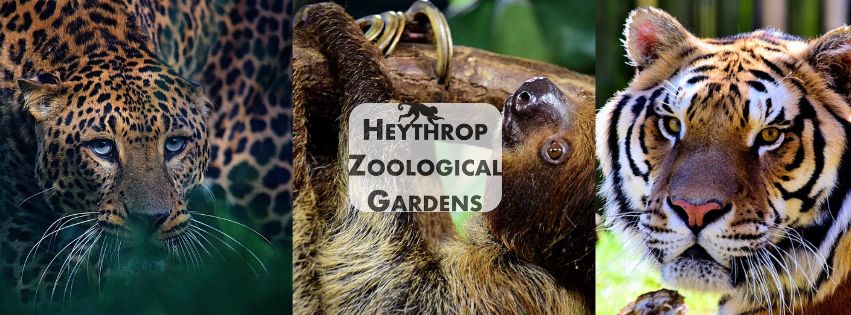 Heythrop Zoological Gardens este o grădină zoologică privată și centru de dresaj pentru animale, fondată în 1988. foto: Facebook