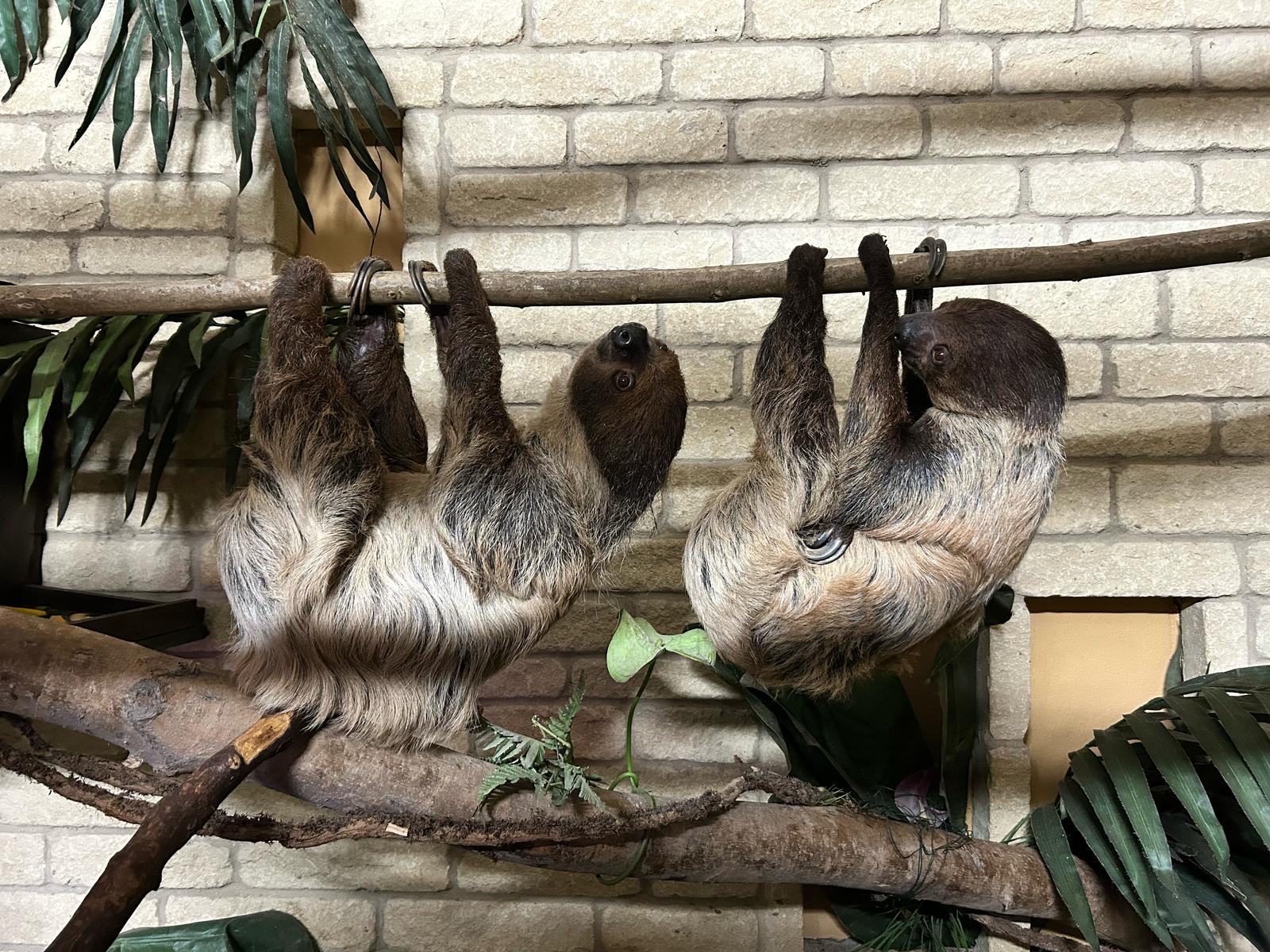 Decizia de a închide definitiv complexul vine în contextul retragerii fondatorului Jim Clubb. foto: Facebook