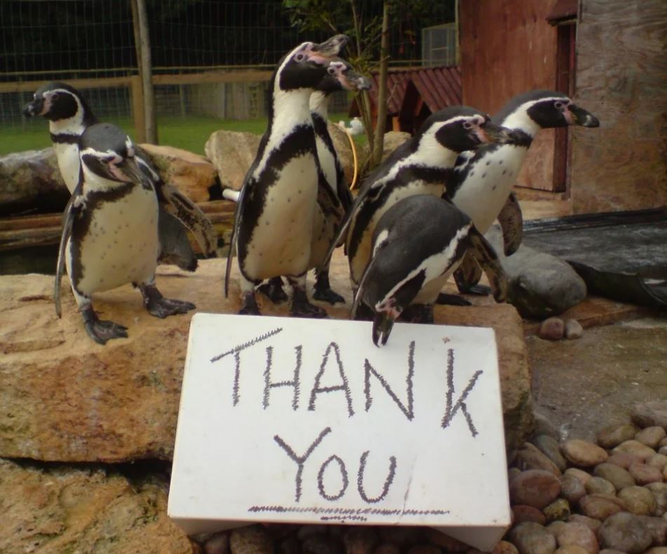 Grădina zoologică organiza vizite speciale, evenimente, petreceri și zile deschise. foto: Facebook