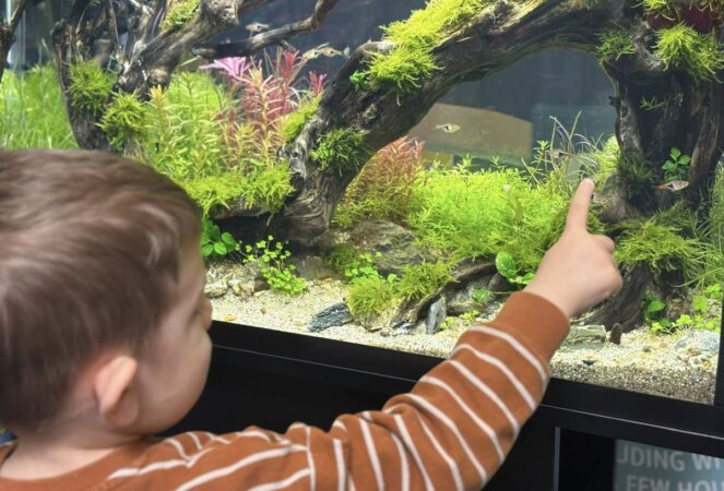 PetExpo a ajuns la a-15-a ediție. Pe 14 și 15 martie, iubitorii de animale sunt așteptați la Romexpo