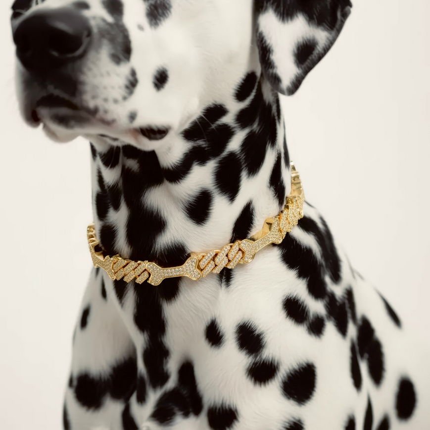 Diamante pentru caini. Sursa foto: Diamante pentru caini. Sursa foto: https://www.instagram.com/theddiamondnewyork/ 