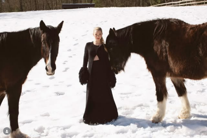 Amanda Seyfried și familia ei au transformat o fermă din New York într-un refugiu pentru zeci de animale