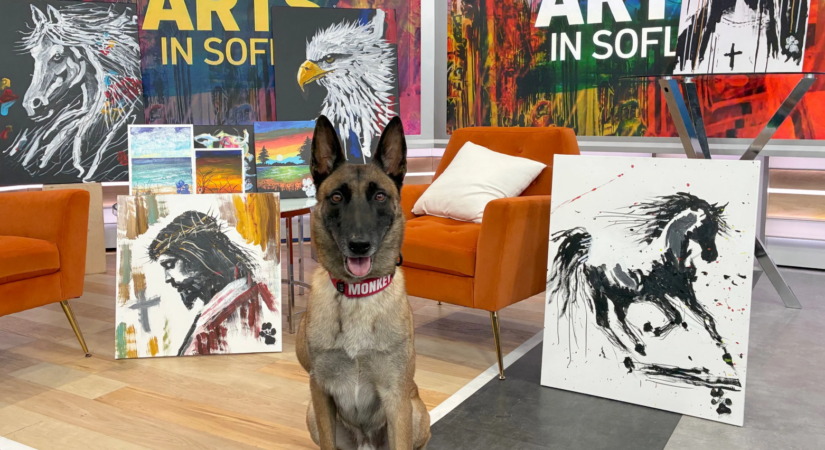 Un câine Belgian Malinois pictează un cal cu pensula în gură! Monkey, patrupedul care face senzație pe internet