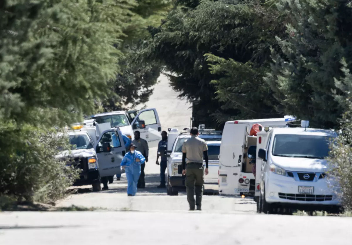 Operațiune amplă de salvare în California: sute de câini și pisici scoase dintr-un adăpost insalubru