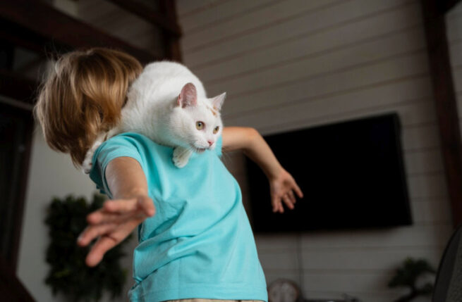 Experții au deslușit misterul! De ce pisicile aterizează mereu în picioare?