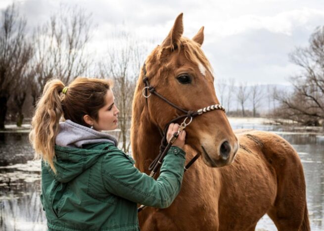 Nechezatul calului, un sunet unic din natură. Studiile au scos la iveală o combinație rară și sofisticată de două tipuri distincte de frecvențe