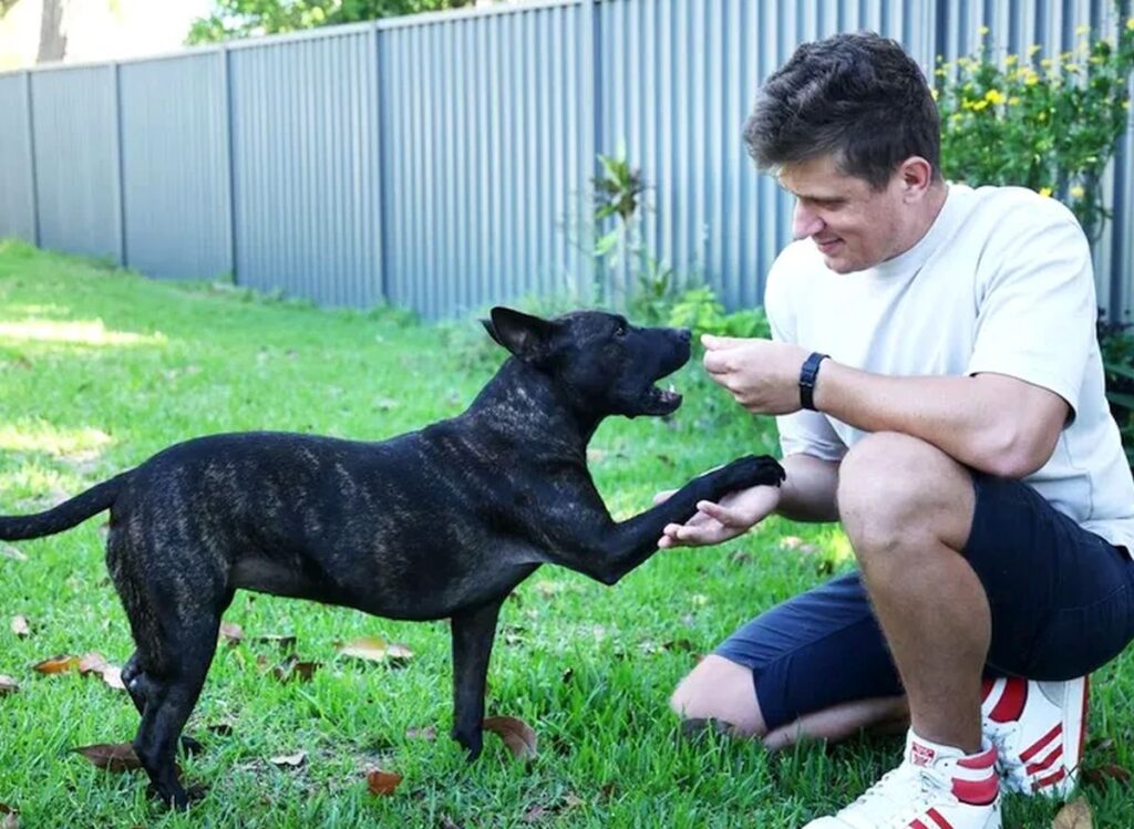 Cum a putut acest bărbat să folosească inteligența artificială, pentru a crea un vaccin anticancer pentru câinele său. A șocat cercetătorii!