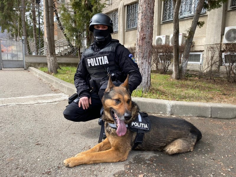Cum salvează vieți și prind infractori alături de polițiști și jandarmi? Sursa foto: IPJ