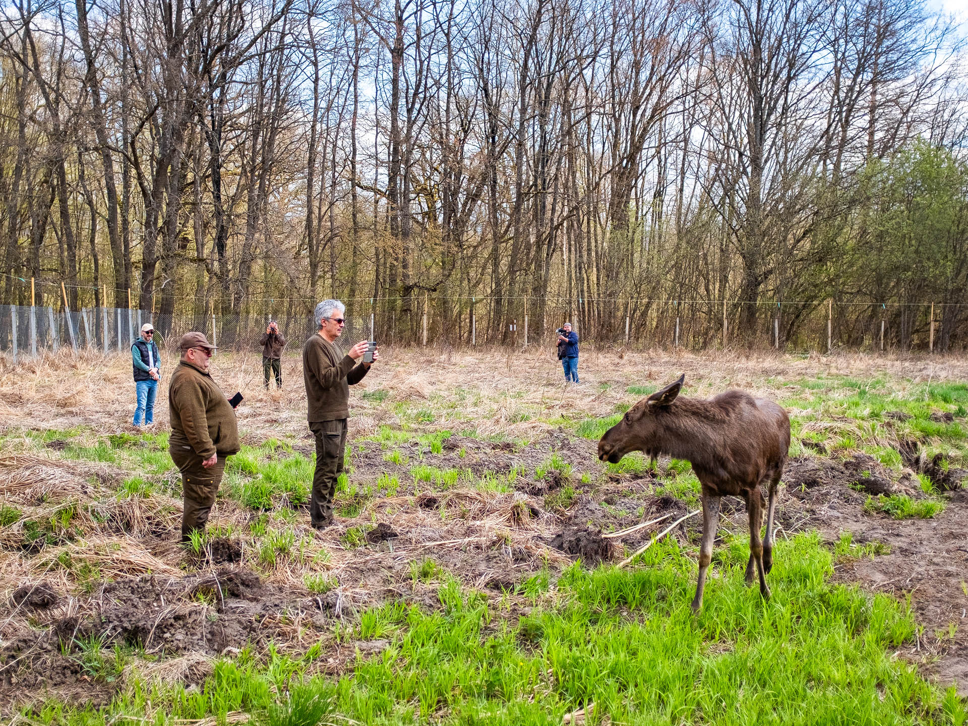 Proiectul este coordonat de Regia Națională a Pădurilor și se desfășoară în Parcul Natural Vânători Neamț. foto: Facebook Romsilva