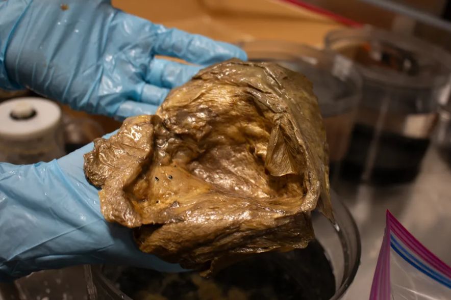 Misterul „sferei aurii” din adâncurile Oceanului Pacific, în sfârșit rezolvat. foto: NOAA Fisherier