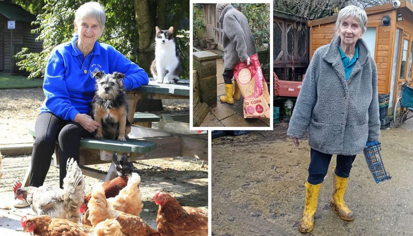 Povestea incredibilă a femeii de 90 de ani care a salvat peste 10.000 de animale: „Ori eu, ori ele”