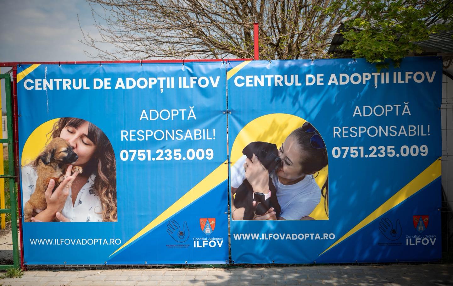 Primul centru public de adopții din Ilfov, deschis la Măgurele. Autoritățile mizează pe adopții și sterilizare pentru a reduce numărul câinilor fără stăpân