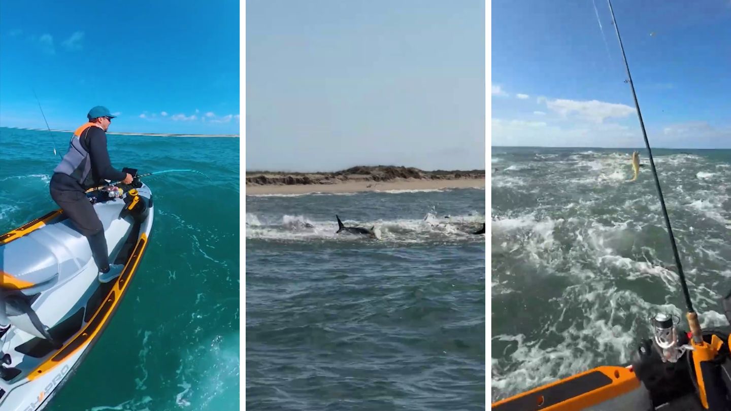 Un pescar, față în față cu mai mulți rechini în Carolina de Nord. foto: captură video YouTube
