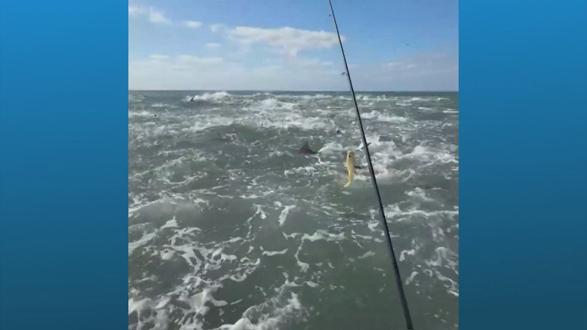 Totul s-a petrecut luni, când surferul și pescarul profesionist Brett Barley se afla pe apă. foto: captură video Youtube