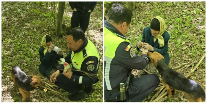 Lecția de loialitate oferită de doi căței din Botoșani. Nu și-au părăsit nicio clipă stăpâna de 94 de ani, dispărută două zile în pădure