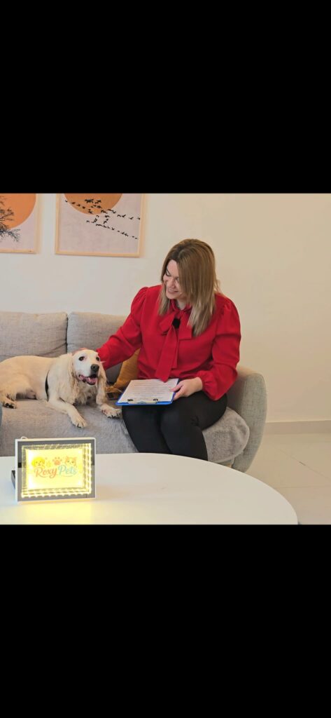 Realitatea din spatele meseriei de petsitter. Cum se calculează prețurile și ce presupune munca de zi cu zi: „Nu e doar o joacă, este o responsabilitate întreagă” EXCLUSIV