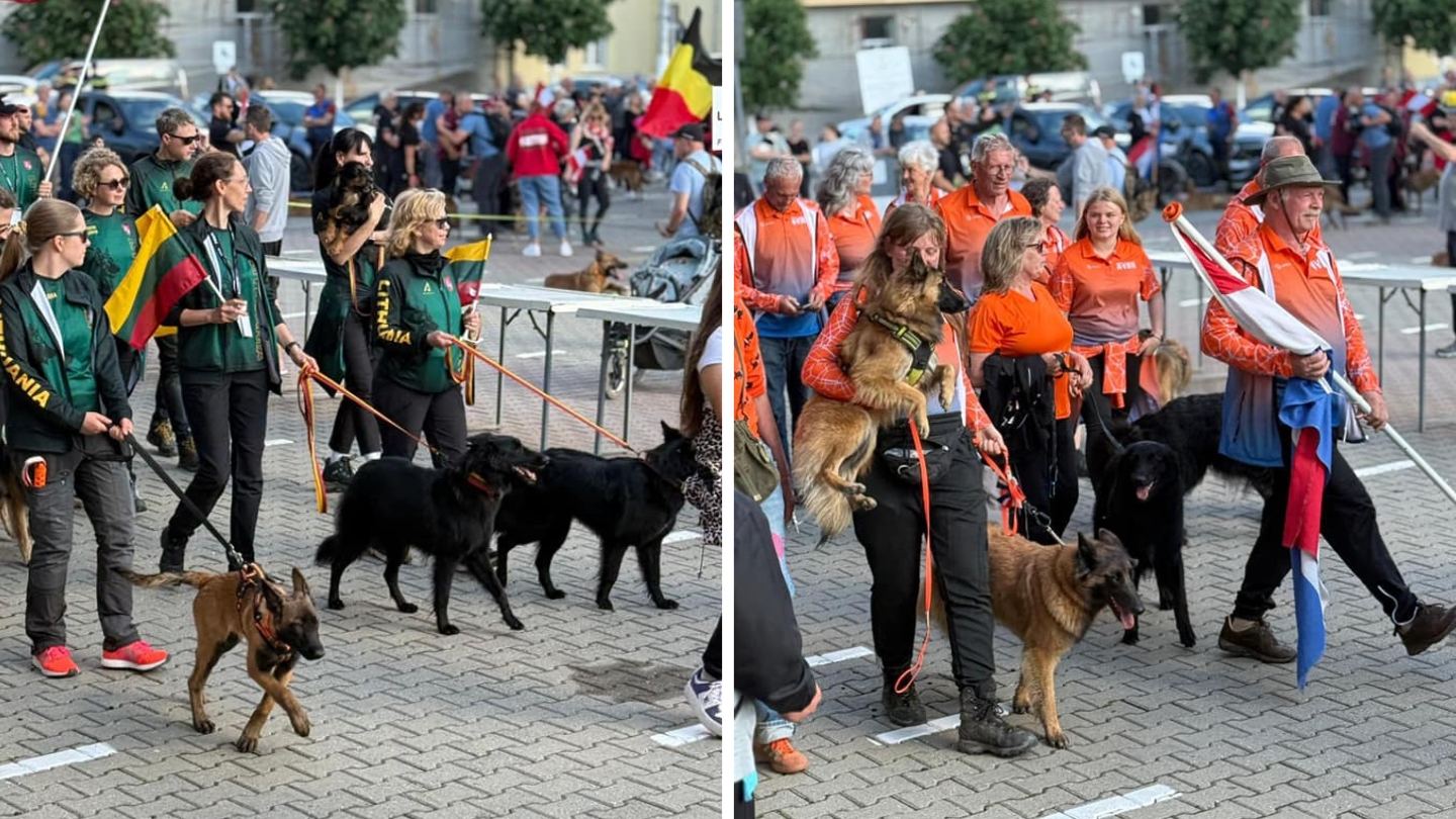 Campionatul Mondial al Ciobăneștilor Belgieni are loc în Pecica, județul Arad. Foto: Facebook Iustin Cionca
