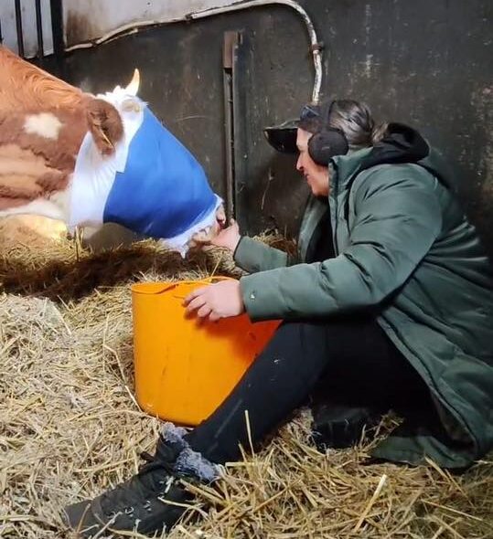 Bumba are nevoie de donații pentru tratamentul oncologic. Foto: Facebook @Kola Kariola