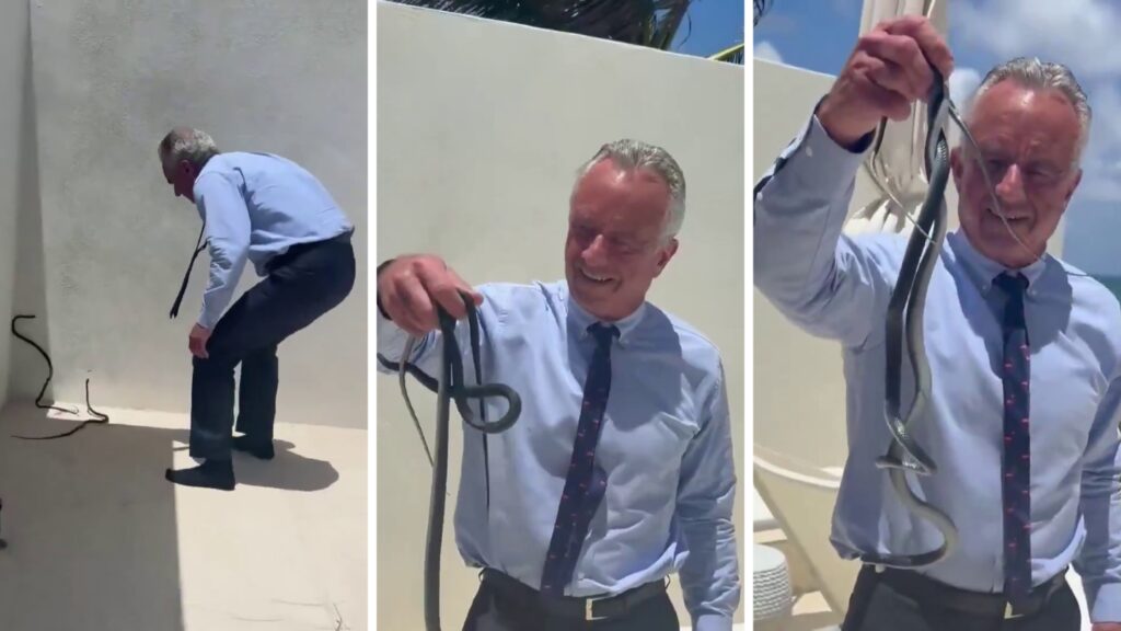 Robert F. Kennedy Jr. a prins cu mâinile goale doi șerpi în timpul împerecherii. Ce s-a întâmplat apoi