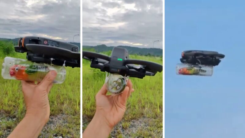 Un bărbat și-a ajutat papagalul amorez rănit să „zboare” din nou cu ajutorul unei drone, după un atac al unei pisici VIDEO