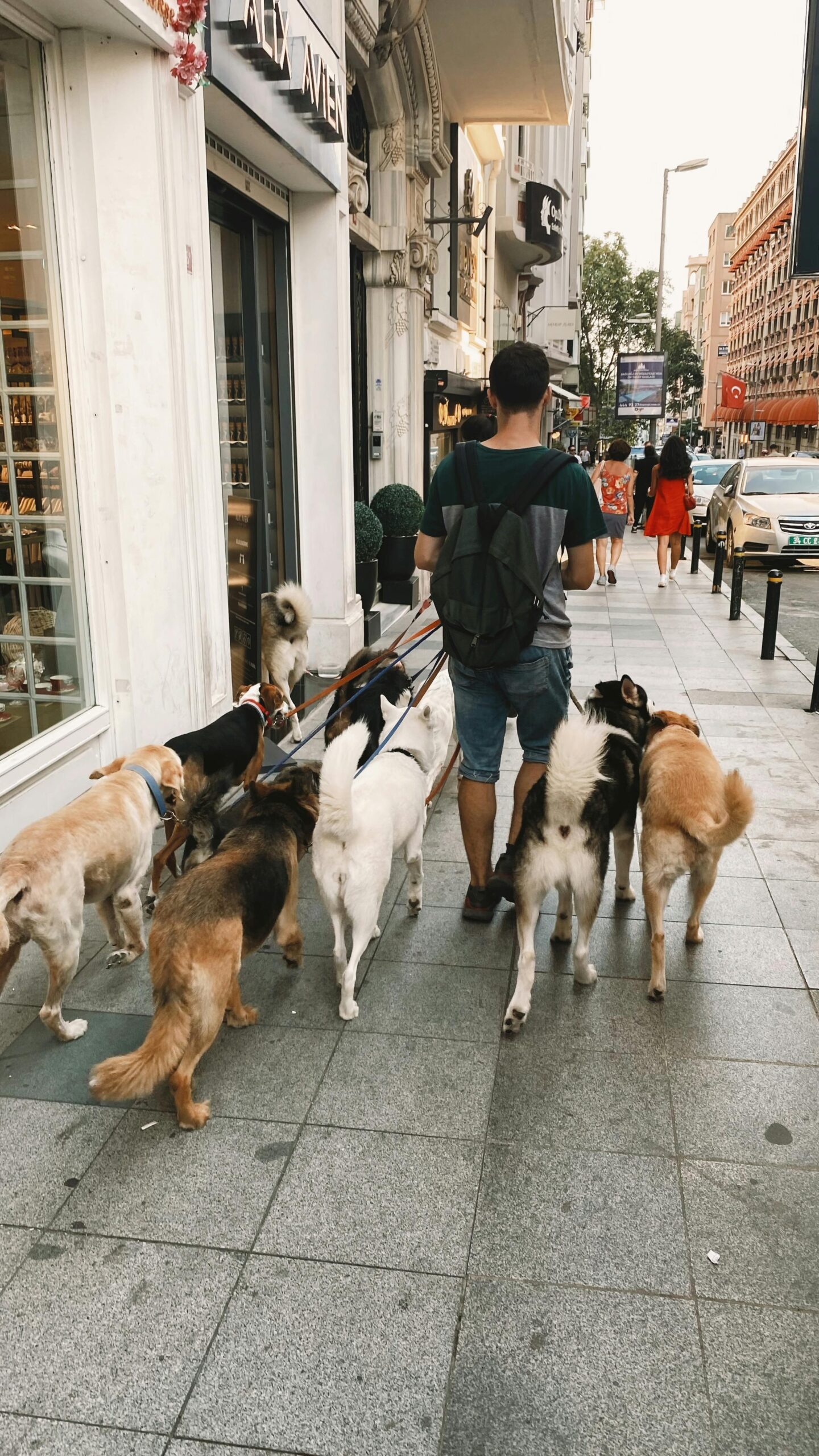 Ce amenzi riscă dacă nu o fac? foto: pexels.com