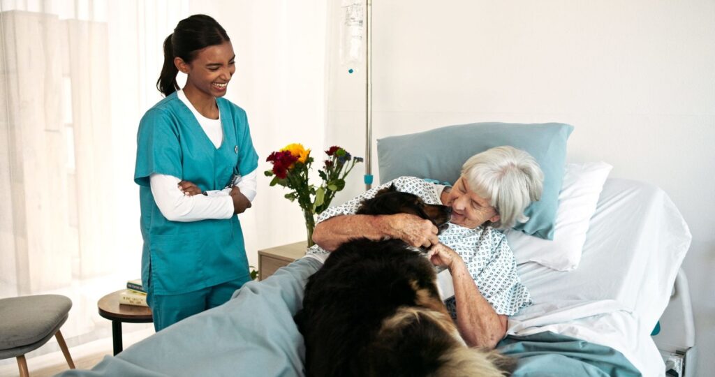 Animalele de companie nu sunt doar o sursă de bucurie, ci și un sprijin important pentru seniori, contribuind la o viață mai activă, mai organizată și mai puțin singuratică. Sursa foto: Kasper Ravlo / Stock Budget / Profimedia