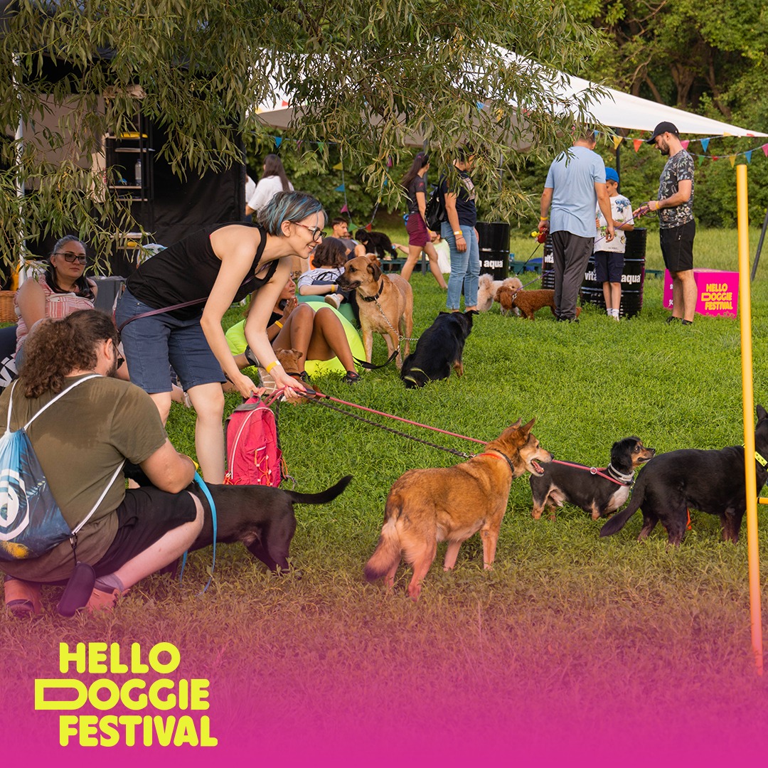 Anul acesta, Hello Doggie Festival se desfășară în perioada 6-7 iunie. Sursa foto: Facebook/ Hello Doggie
