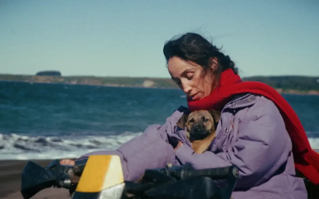 De la adăpost direct pe covorul roșu! Yuri, cățelușa salvată din Chile, a cucerit Festivalul de la Cannes și inimile spectatorilor