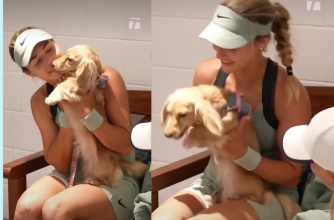 Bella, cățelușa devenită vedetă la Roland Garros. Cum a sărbătorit Anna Kalinskaya după victorie
