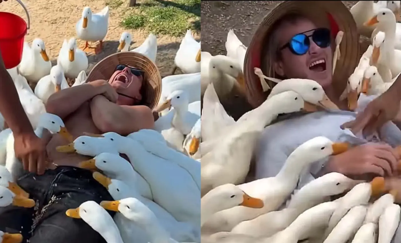 Masajul cu rațe a devenit noua atracție virală pentru turiștii din Vietnam. Sursa foto: capturi video Facebook Daily Mail