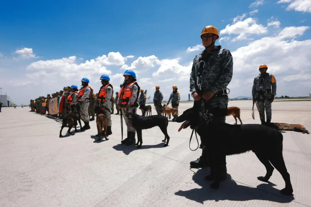Mexic a trimis câini specializați în Venezuela după cutremurele devastatoare. Sursa foto: SRE