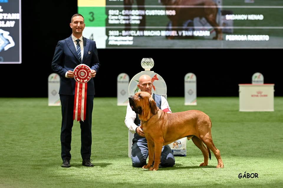 Performanță istorică pentru România la Campionatul Mondial Canin. Foto: Facebook Lupșa Cosmin