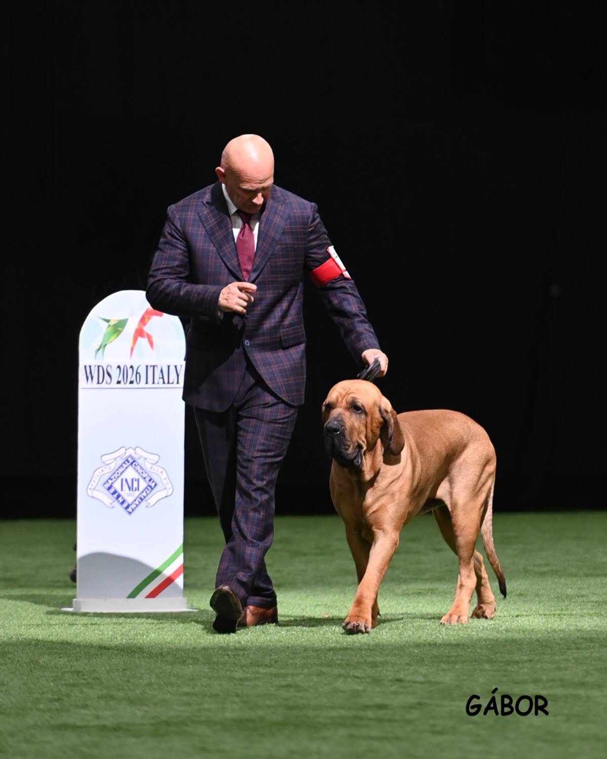 Un câine din Arad a cucerit titlul mondial la Bologna. Foto: Facebook Lupșa Cosmin