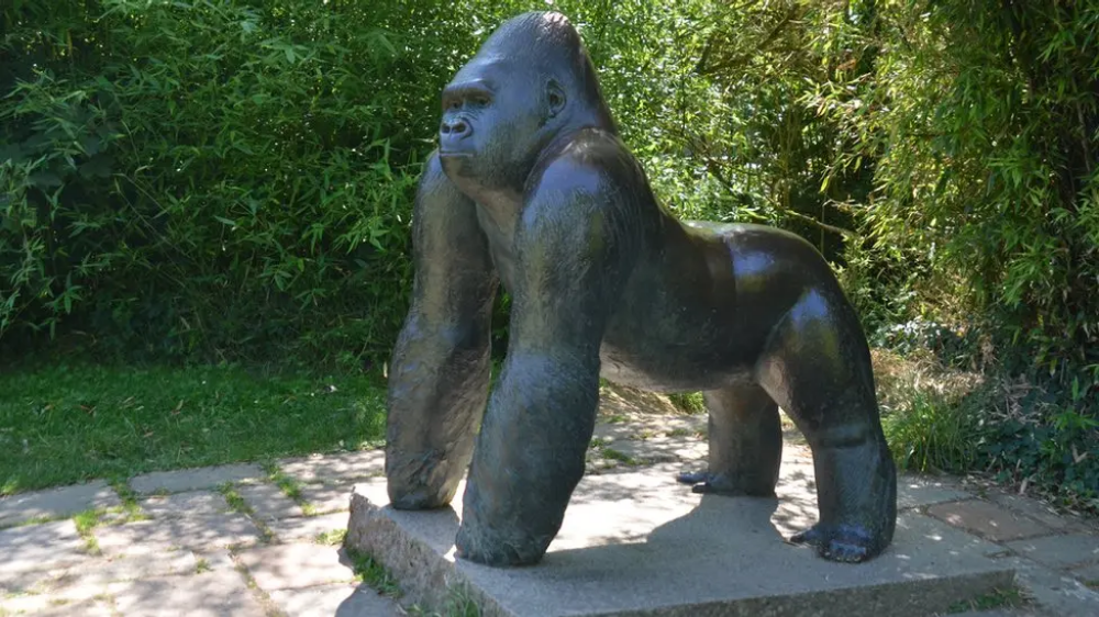 La Durrell Wildlife Park, numele actual al fostului Jersey Zoo, vizitatorii pot vedea și astăzi o statuie de bronz ridicată în memoria sa. Foto: https://www.bbc.com