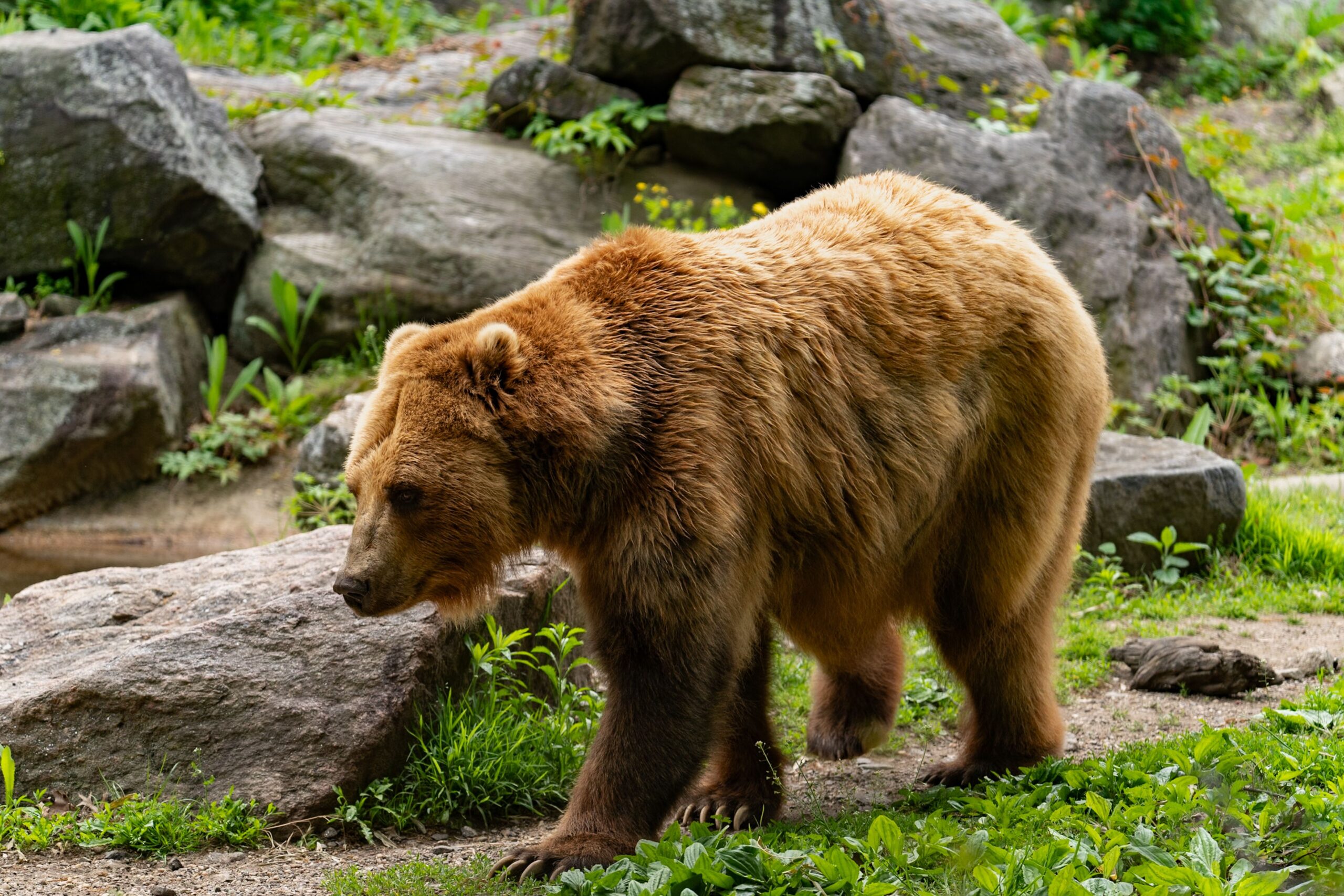 Oficialul consideră că actualul cadru legislativ nu mai răspunde realităților din teren. Foto: pexels.com