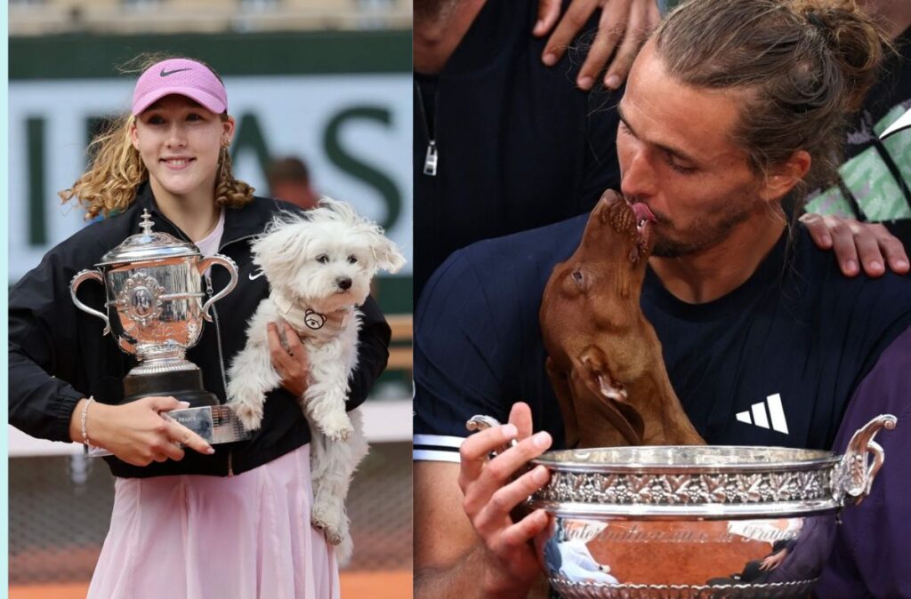Câinii campionilor de la Roland Garros. Cum au sărbătorit Mirra Andreeva și Alexander Zverev cele mai importante victorii ale carierei