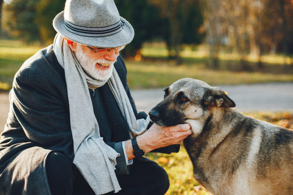 Un nou studiu arată că procesele biologice care influențează îmbătrânirea sunt surprinzător de asemănătoare la câini și oameni. Foto: Magnific.com